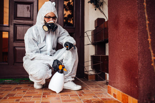 Reliable Bed Bug Control contractor in Ellsworth, ME by Nex Pest Control